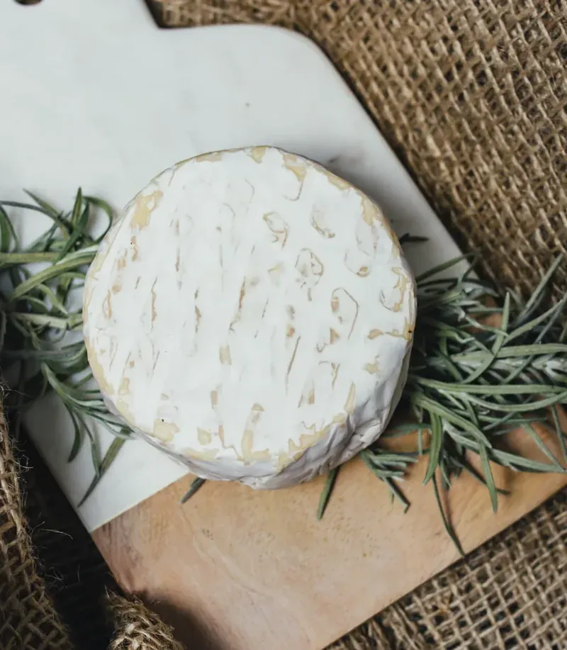 Brie regalo — queso artesanal Francia elaborado en Villa María, Córdoba, Argentina