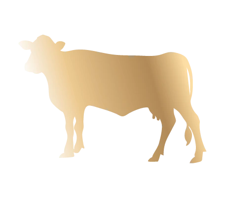 Leche